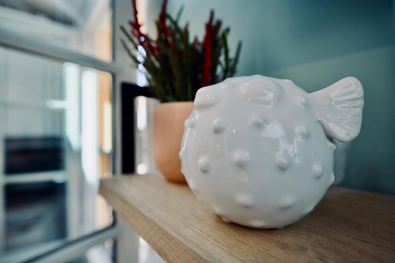 New ! Superbe Studio Vieux Nice - Climatise 外观 照片