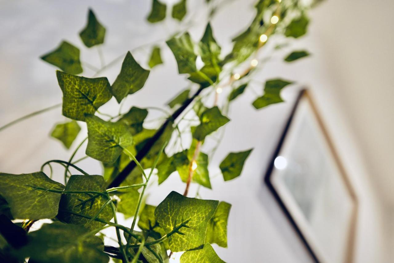 New ! Superbe Studio Vieux Nice - Climatise 外观 照片